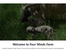 Tablet Screenshot of fourwindswool.com